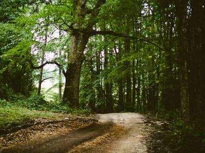 1988影院-纪录片片段